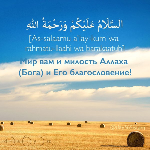 во имя аллаха милостивого милосердного