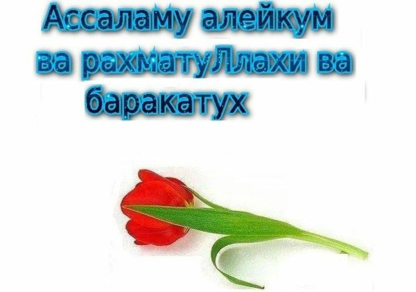 ас саляму алейкум