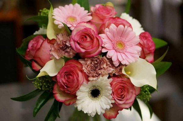 цветы и букеты