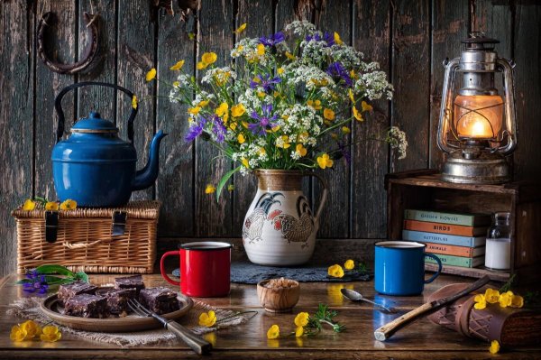 красивые натюрморты