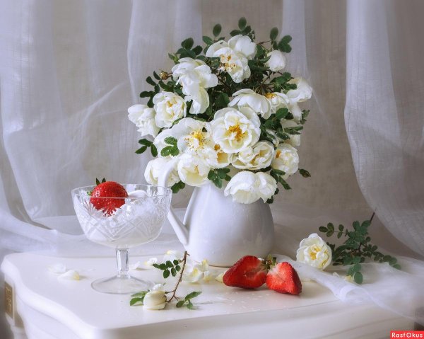 фотонатюрморты натальи дорош