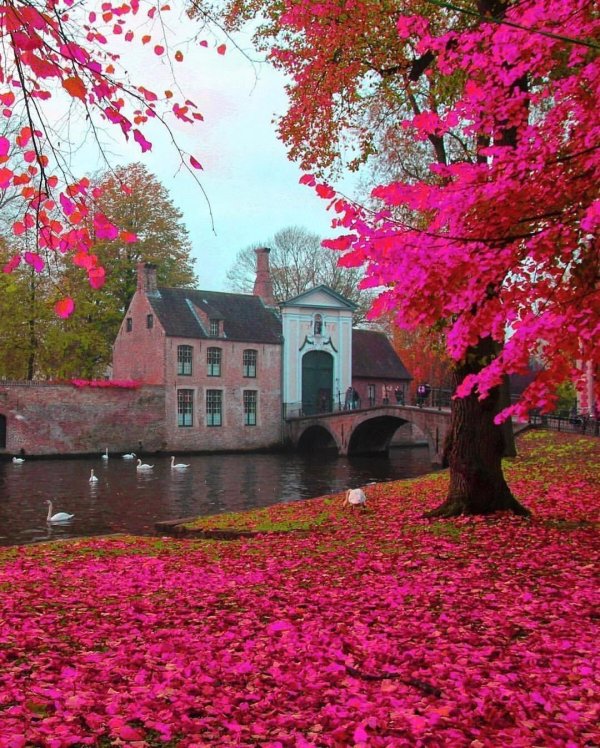bruges belgium