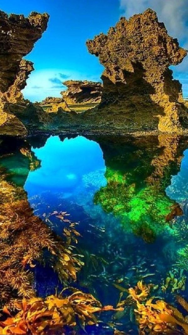 удивительная природа