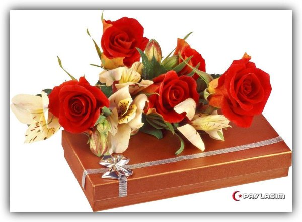 подарочный букет цветов