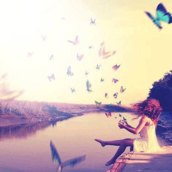 свобода бабочка