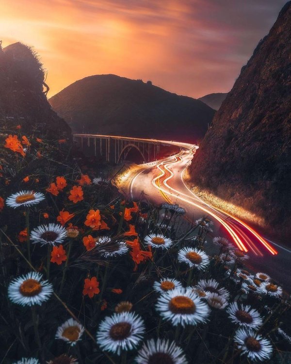 дорога к морю