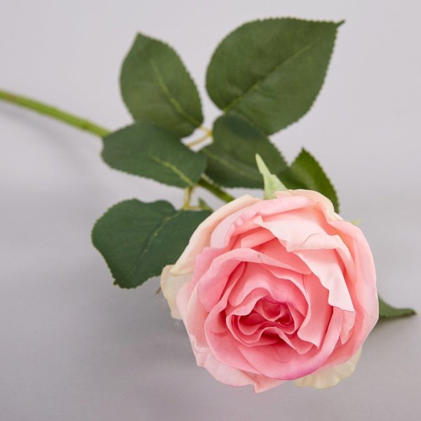 кустовая розочка