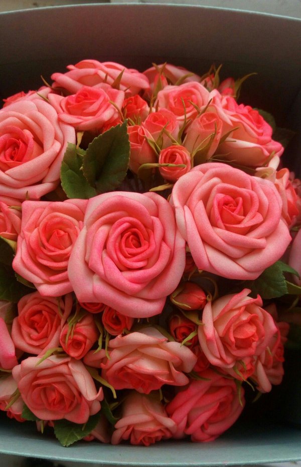 кустовая розочка