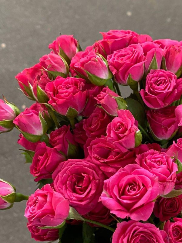 роза лавли лидия