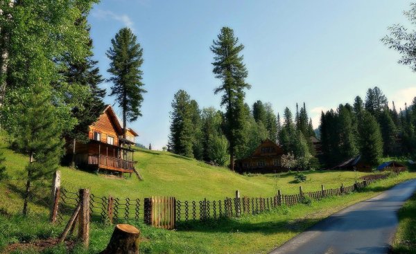 таежная заимка лесная сказка