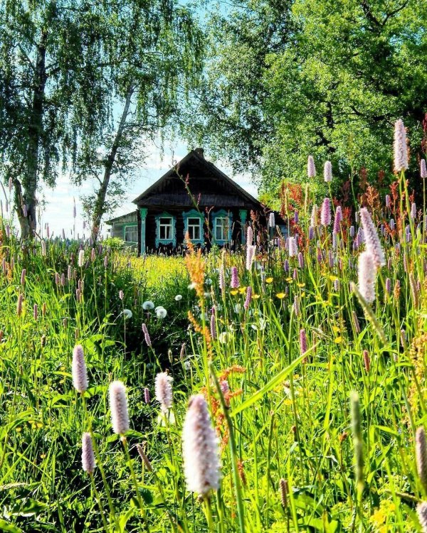 деревенский дом с завалинкой