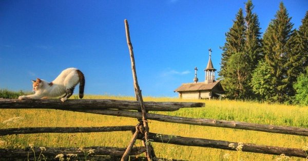 кенозёрский национальный парк вершинино