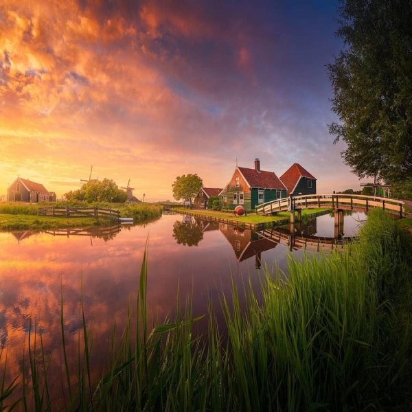 заансе сханс