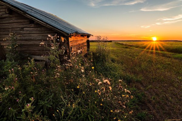рассвет в деревне