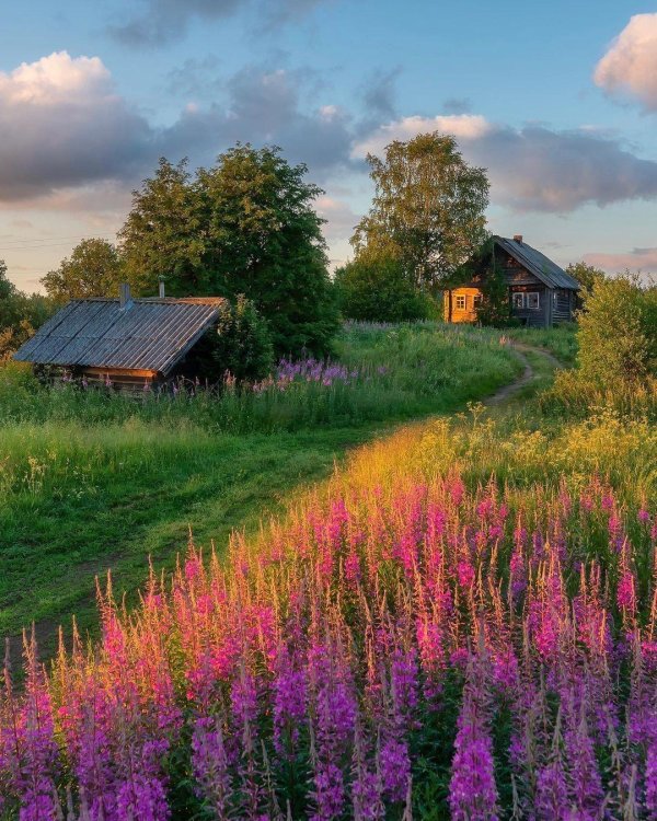 природа деревни