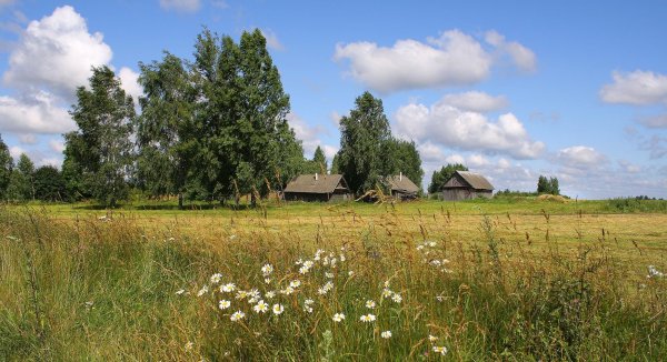 деревенская природа