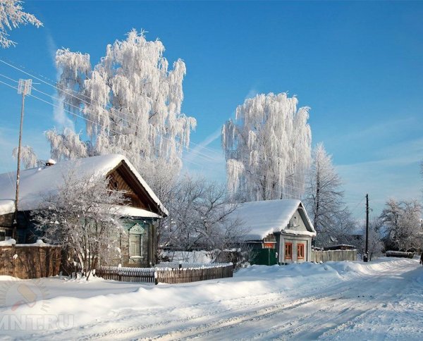 зимний пейзаж деревни