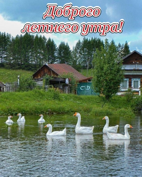 деревенская природа