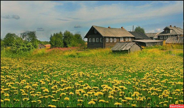 пейзаж деревни