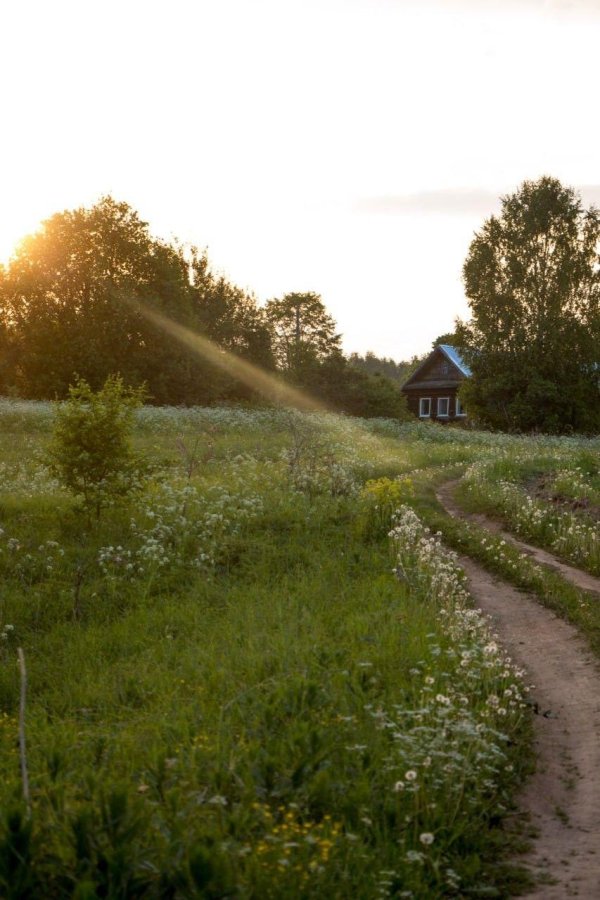 деревня мегра вологодская пейзаж
