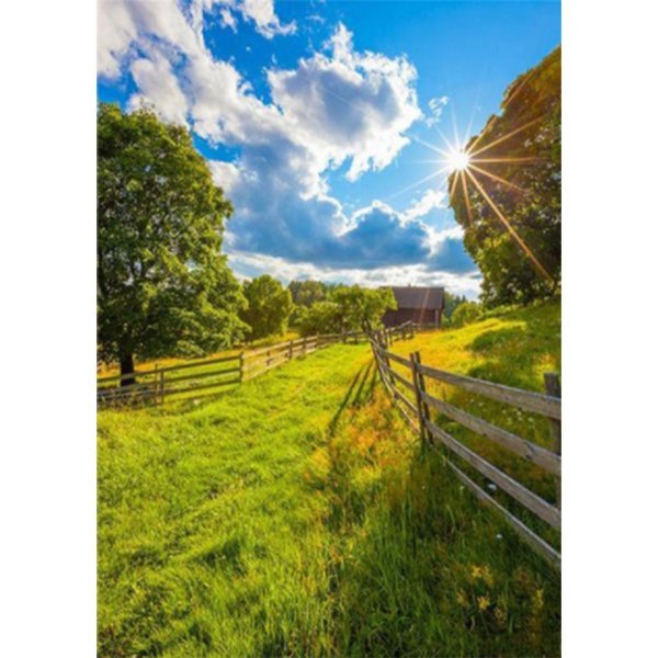 летние пейзажи