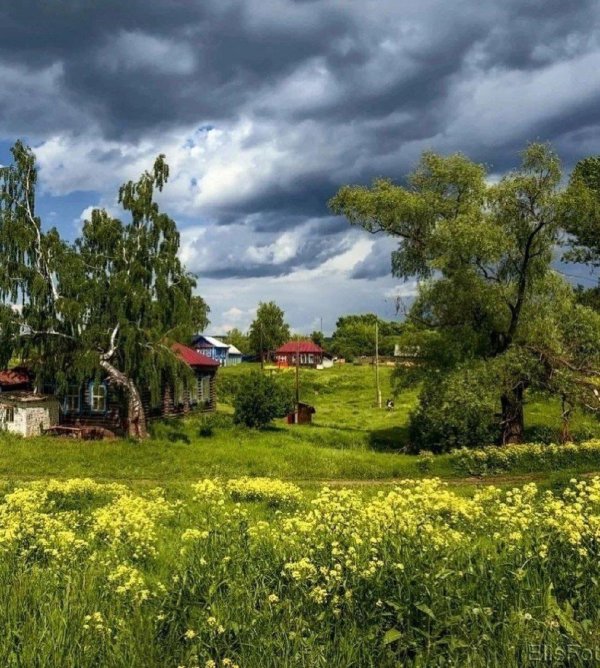 природа россии