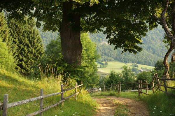 красивейшие пейзажи