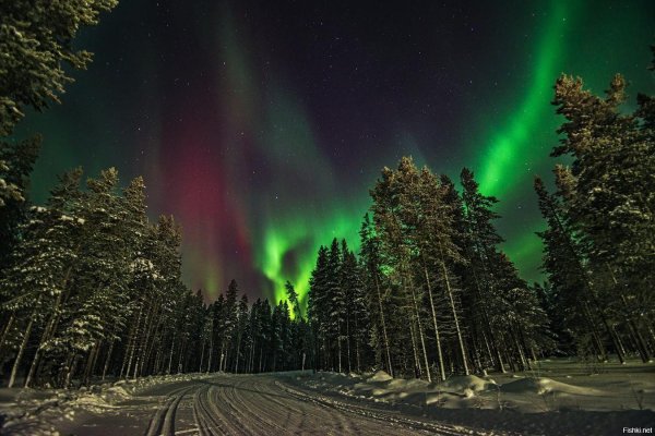 северная сияние