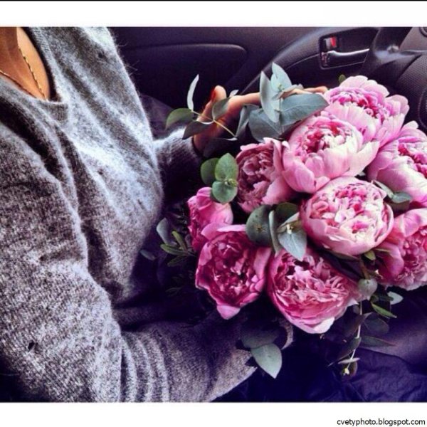 розовые пионы