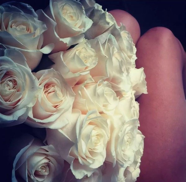 шикарные белые розы