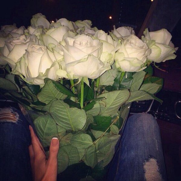 белые розы в машине