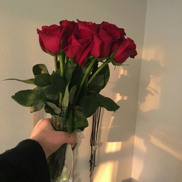 букет роз дома