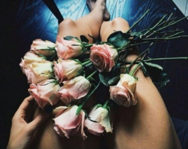 розы женщине