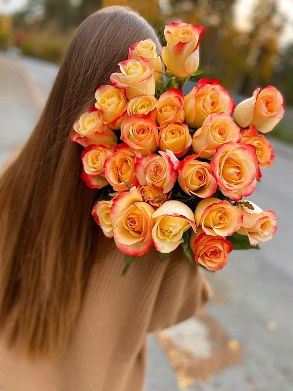 эквадорские розы персиковые