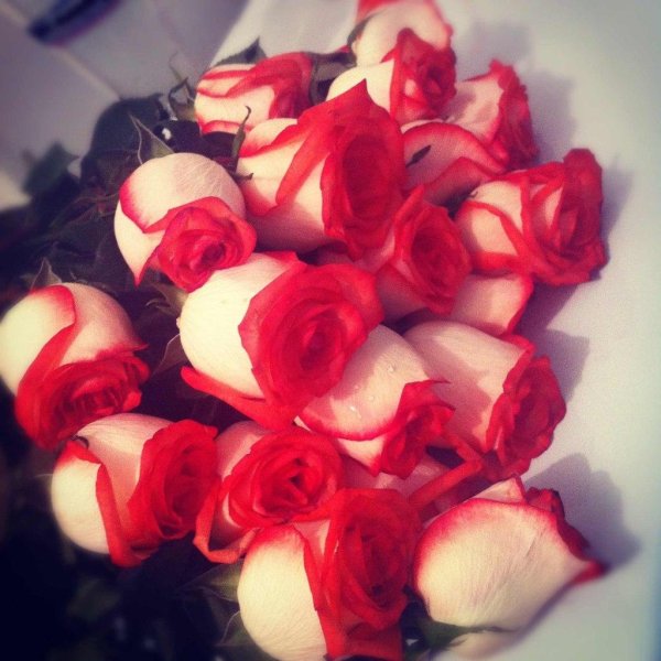 шикарные букеты