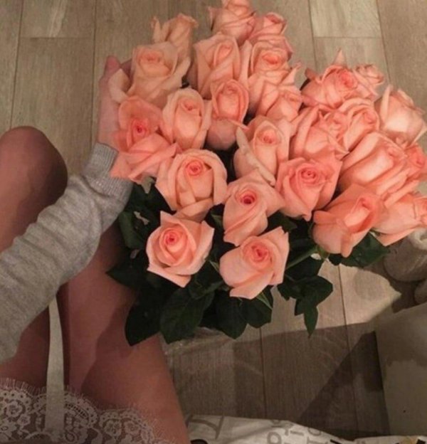 розы персикового цвета