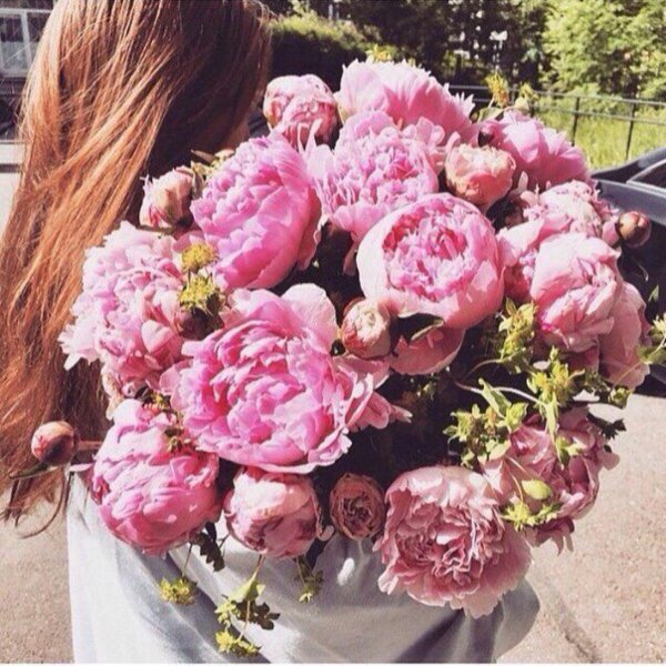 розовые пионы