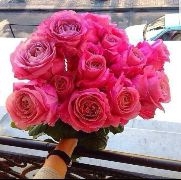 роза лола эквадор