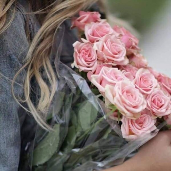 розовая роза