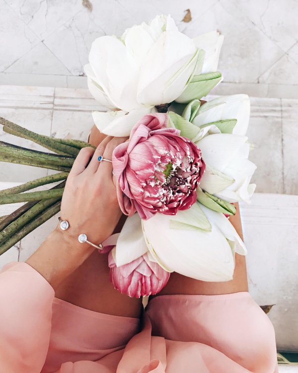 протея букет