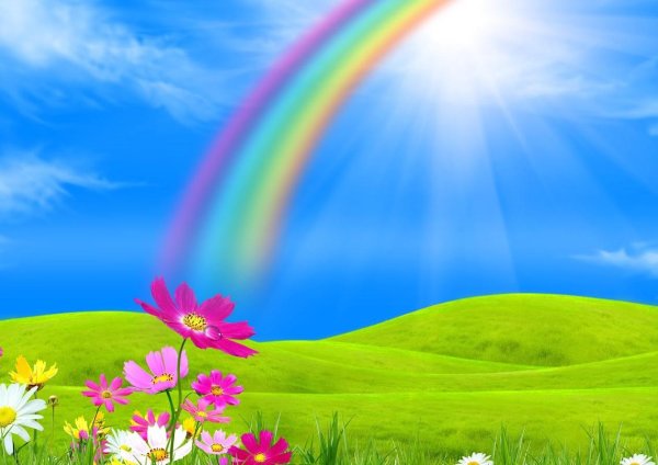 разноцветное лето