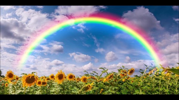 связь радуга