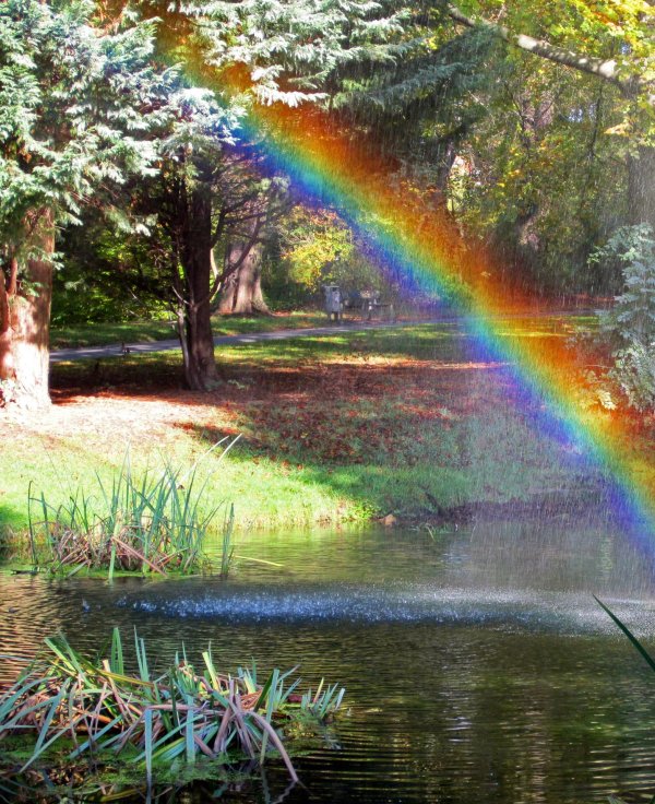 пейзаж с радугой