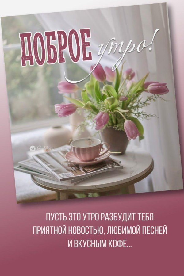 пусть утро