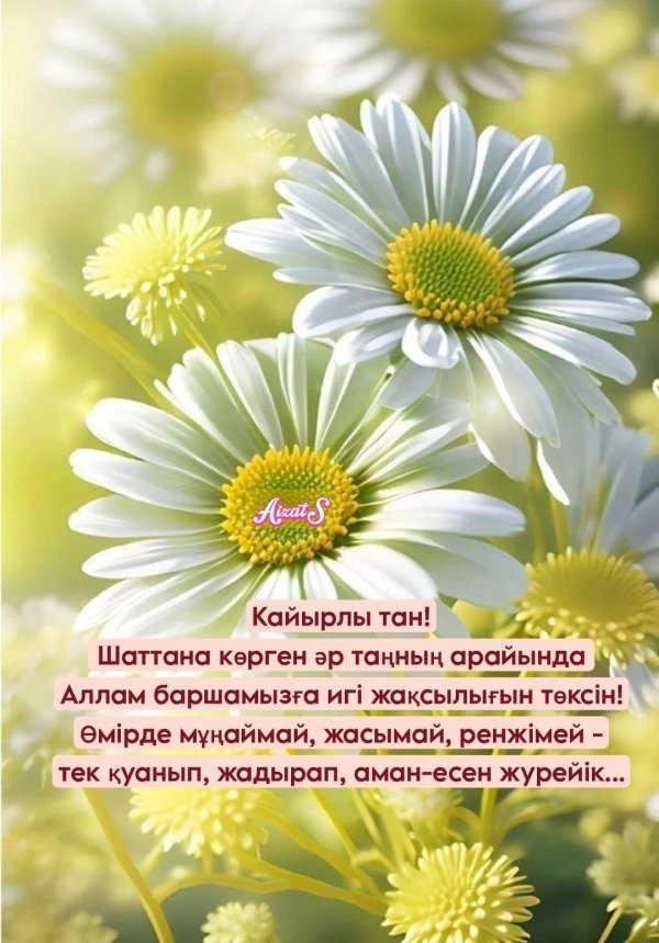 ромашки для наташки