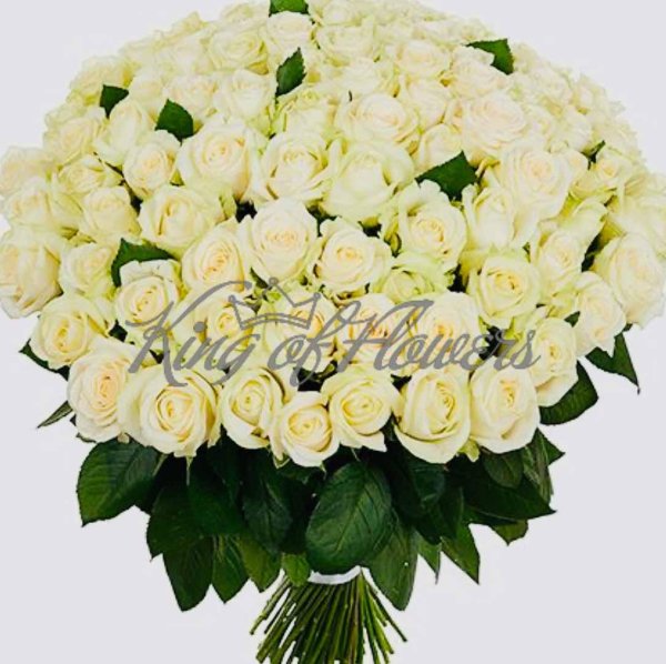 роза аваланж