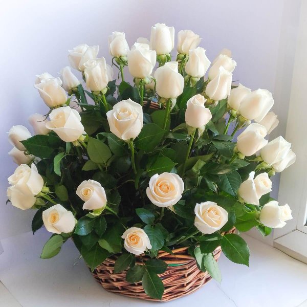 корзина с розами