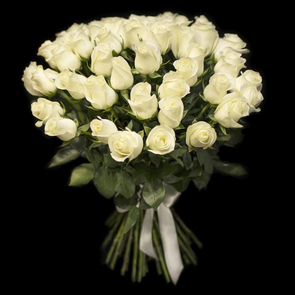 голландские белые розы