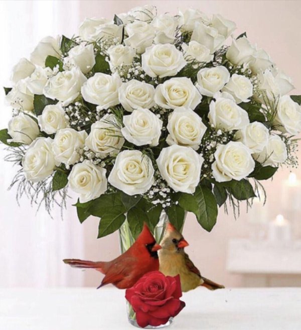 роза вайт роуз