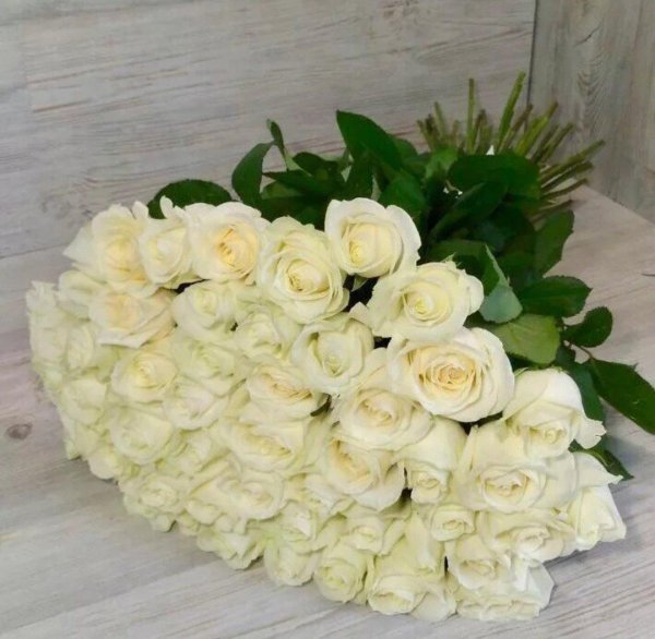 перл аваланж роза